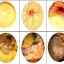 De ce aveți nevoie de ovoscopie a ouălor de pui