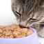 Evaluarea a 8 alimente medicinale pentru pisici pentru urolitiază