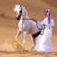 Caracteristicile cailor rasei de cai arabi