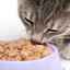 Pungile pentru pisici: o recenzie a celor mai bune alimente