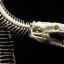 Caracteristicile structurii scheletului șerpilor