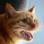 Cauzele mirosului alimentelor putrede în gura unei pisici
