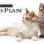 Proplan: compoziție și sortiment de hrană purină pentru pisici