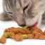 Alimente uscate și conservate pentru pisici