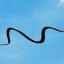 Ce sunt zmeii zburători: descriere și cum zboară