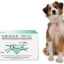 Vaccin biovac pentru câini: metode de aplicare și dozare