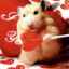 10 Fapte amuzante despre hamsteri