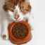 Analiza hranei pentru pisici