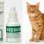 Veracol pentru pisici - homeopatie la paza digestiei